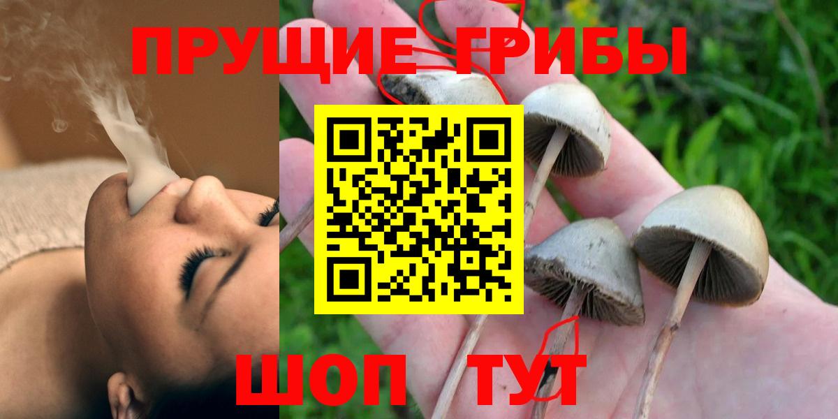 Иркутск  Галлюциногенные грибы GOLDEN TEACHER  даркнет сайт  Галлюциногенные грибы мицелий  Вход с VPN 